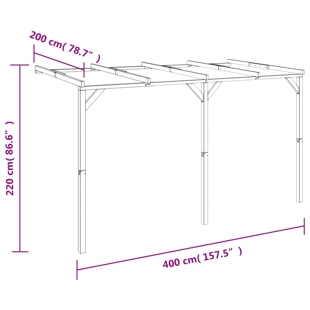 Zahradní pergola ke zdi 2 x 4 x 2,2 cm dřevo