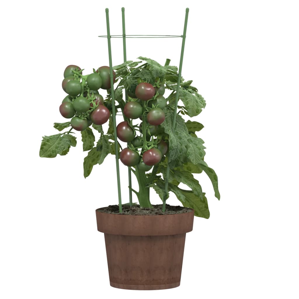 Opory pro zahradní rostliny se 3 kroužky 5 ks zelené 45 cm ocel