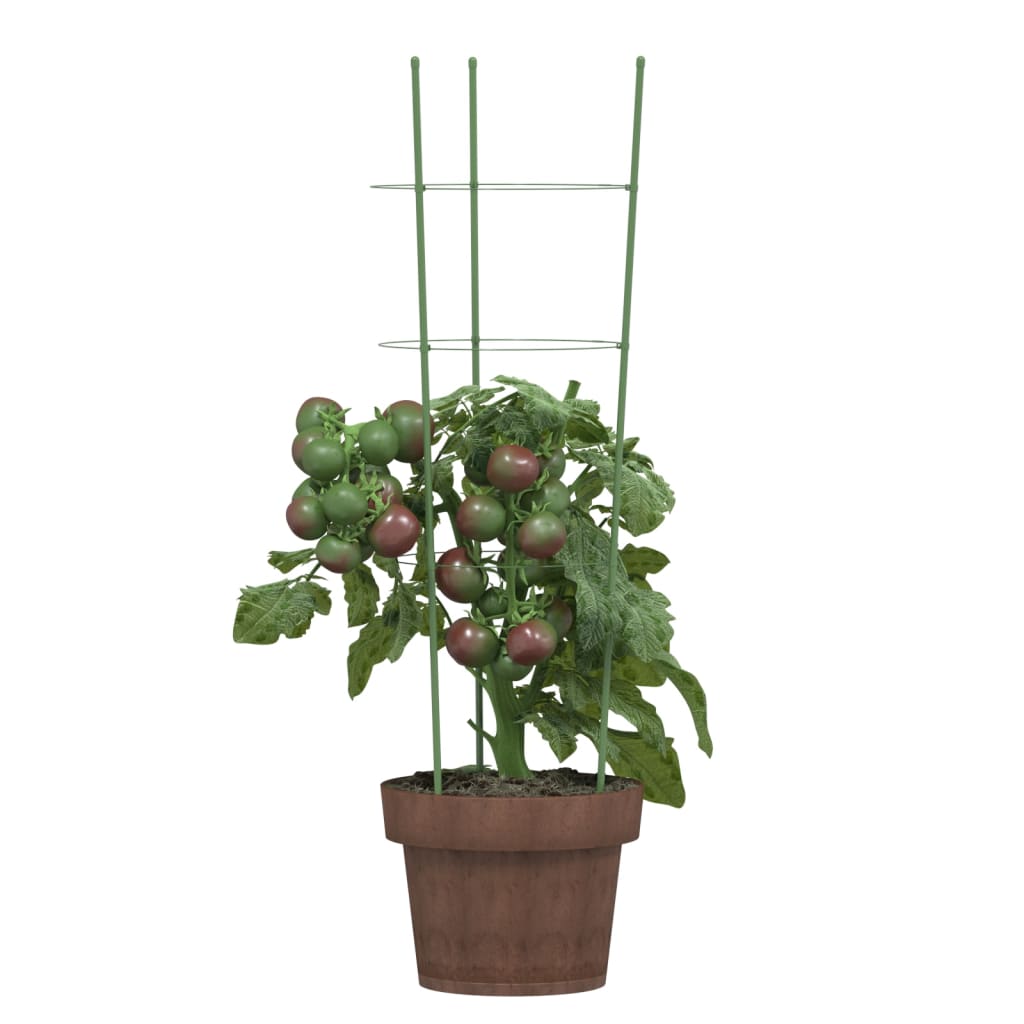 Opory pro zahradní rostliny se 3 kroužky 5 ks zelené 60 cm ocel